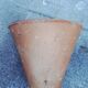 Terracotta pot made from southern pine.