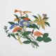 Service Volubilis blue, Old China, The Master Porcelain Makers of Limoges