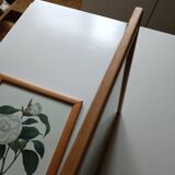 Vintage botanical illustration reboute.