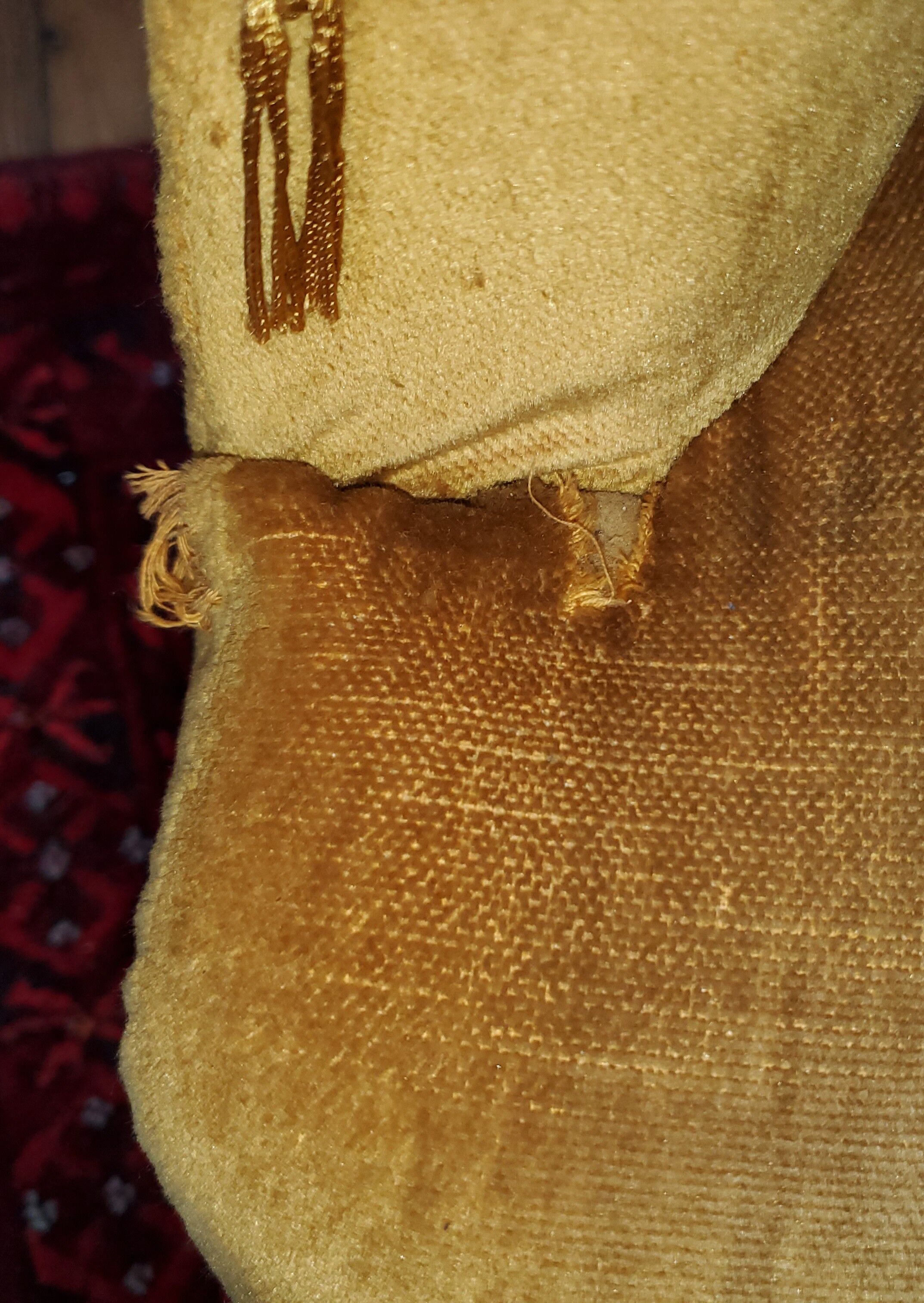 Golden yellow toad armchair