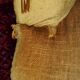 Fauteuil crapaud jaune or