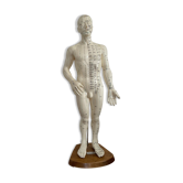 Modèle mannequin acupuncture