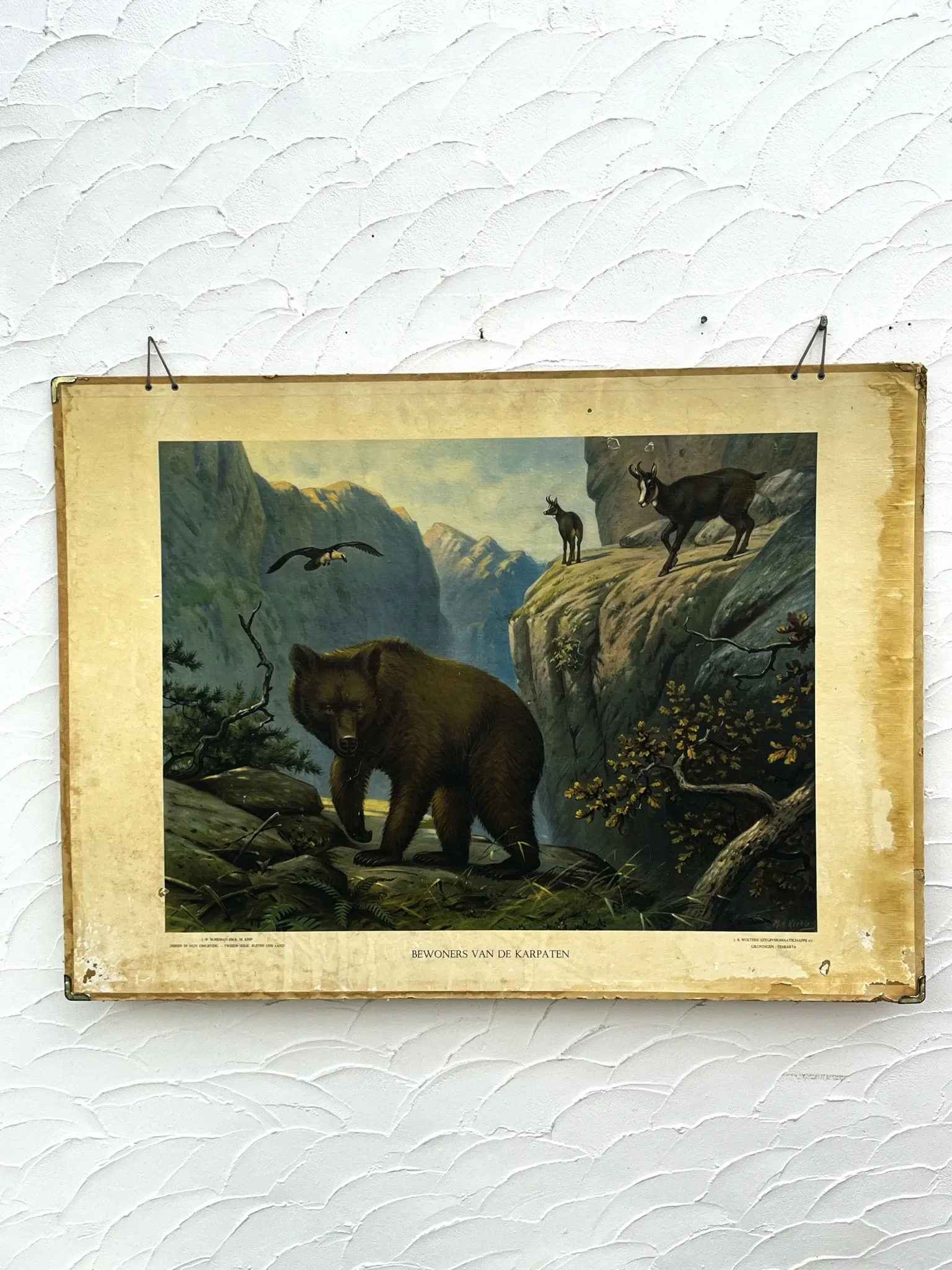 School poster J.B. Wolters