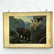 School poster J.B. Wolters