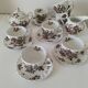 Vintage Johnson Brothers “Devon Sprays” Set