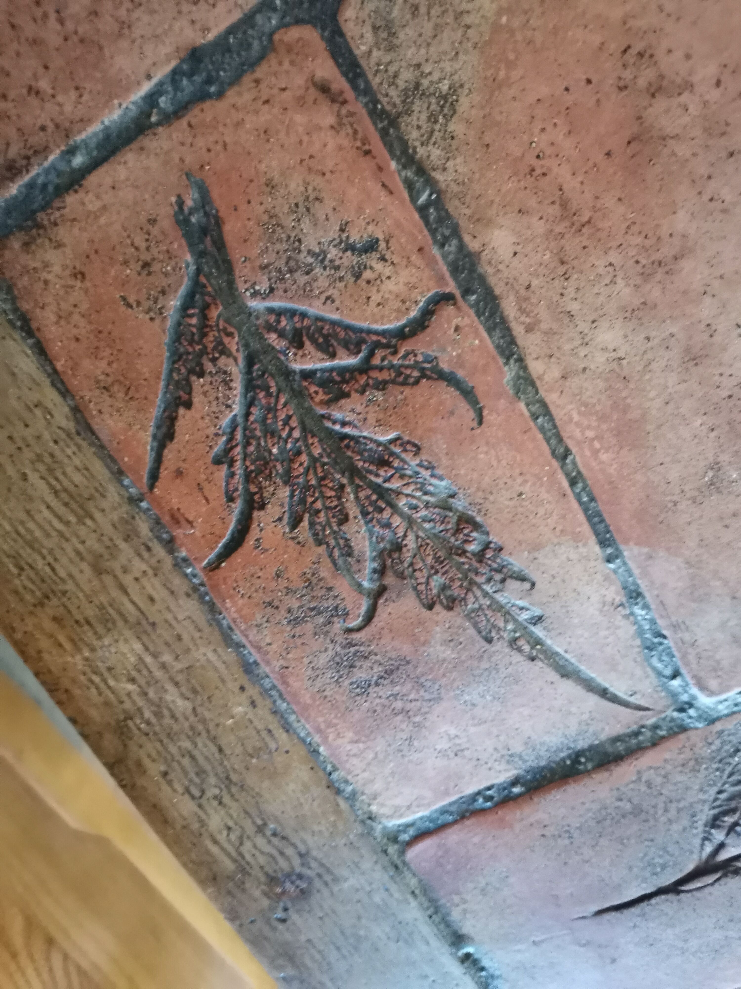 Coffee table Herbarium