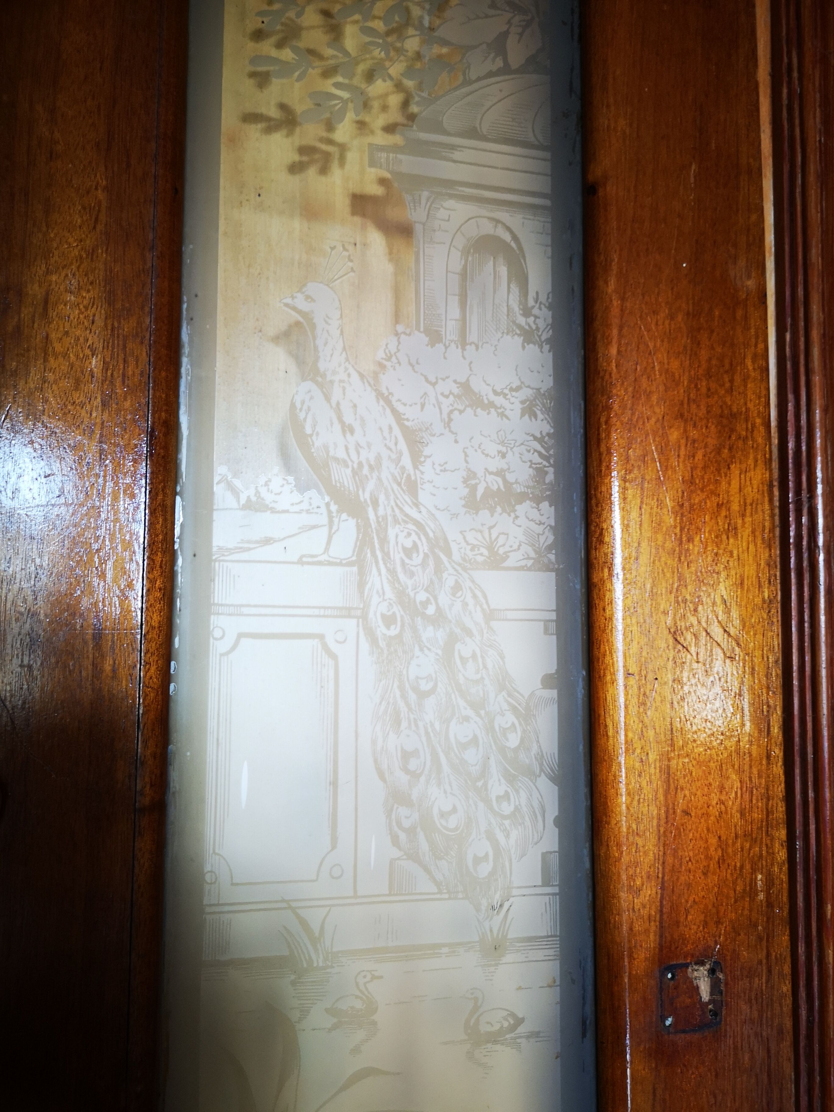 Pair of wheelhouse doors