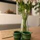 2 cups tamegroute