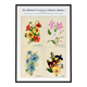 Poster featuring nasturtiums, ornamental tobacco, nigella, and pansies