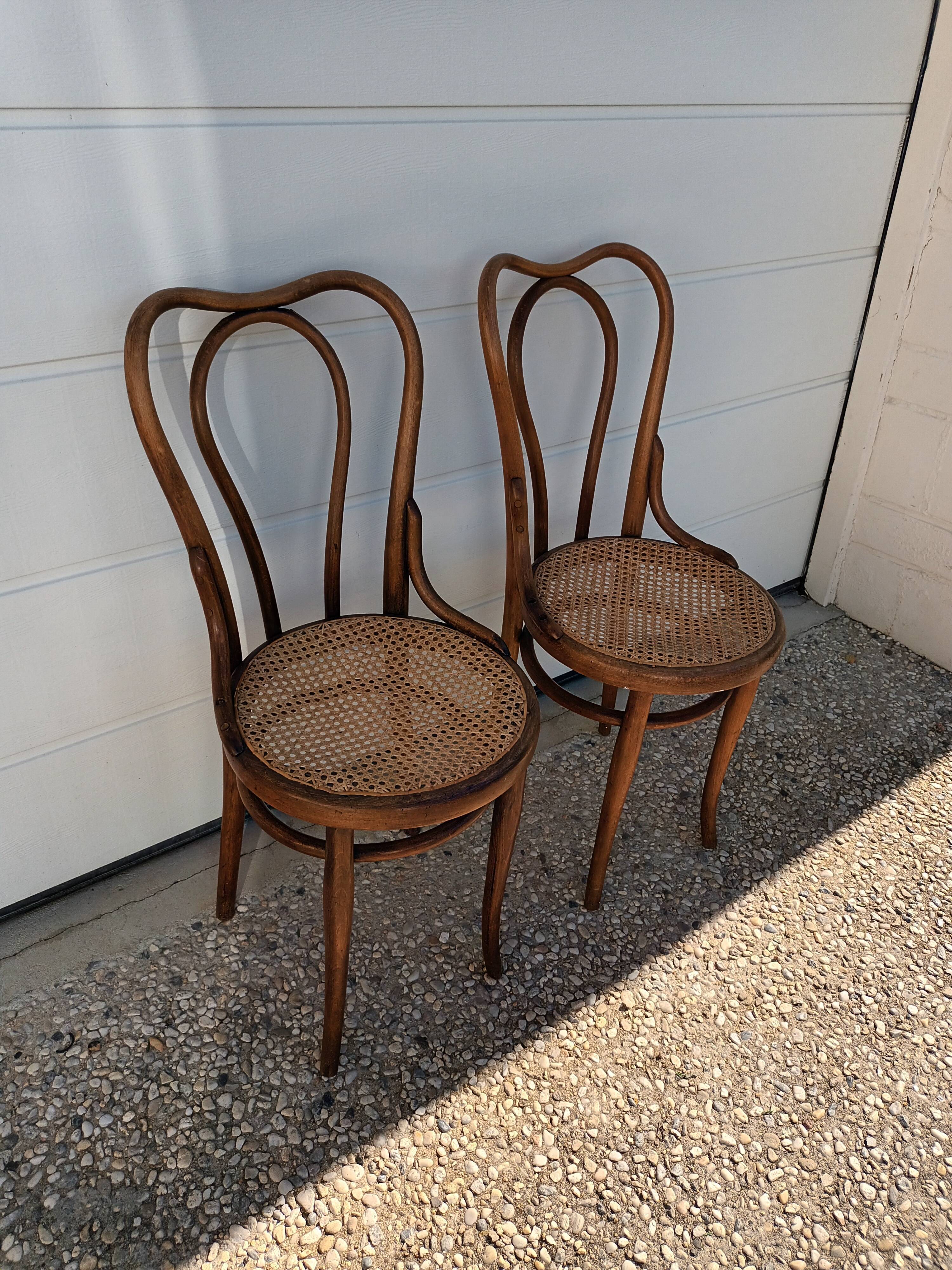 Chairs Thonet