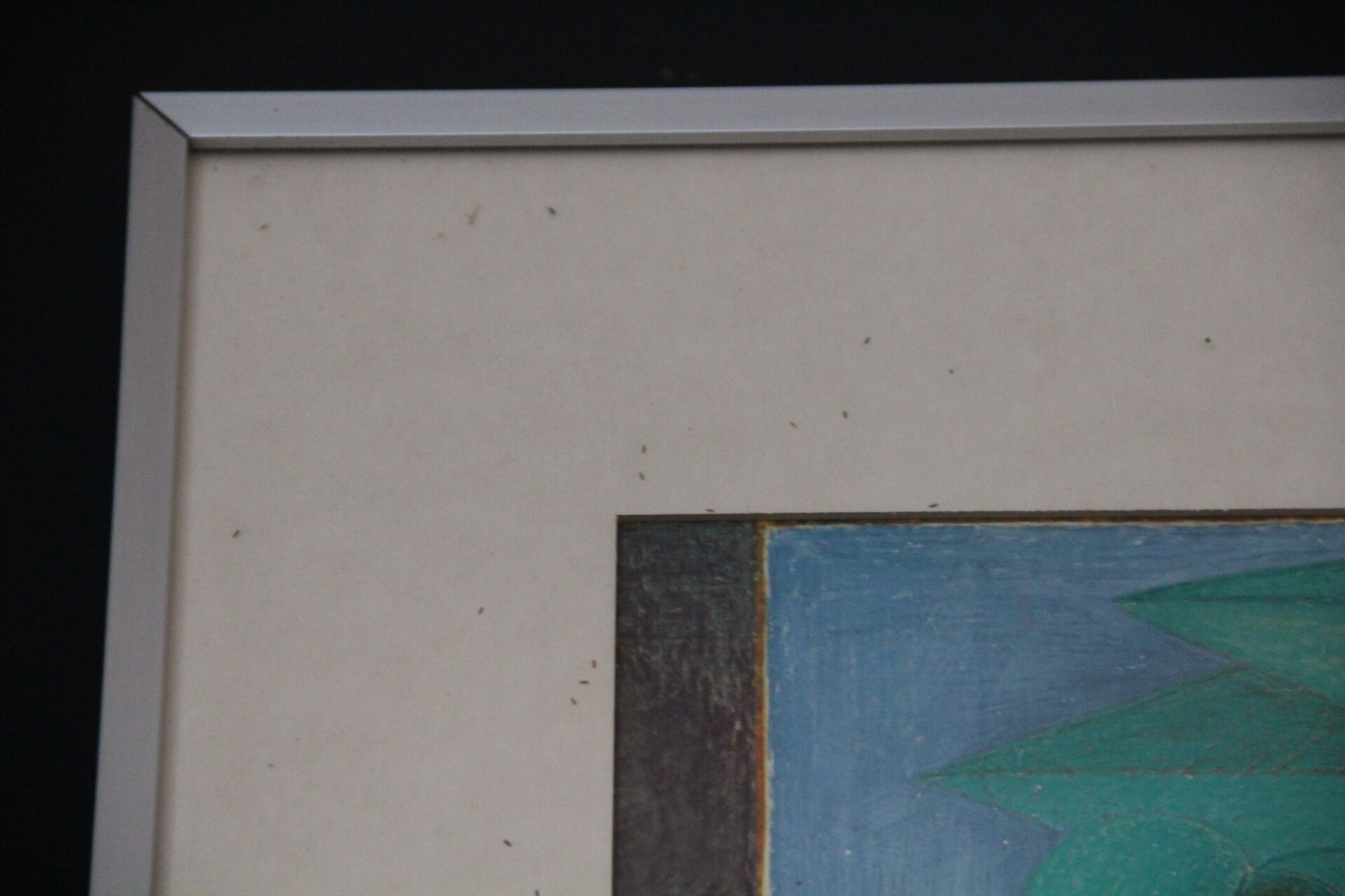 Vintage framed illustration