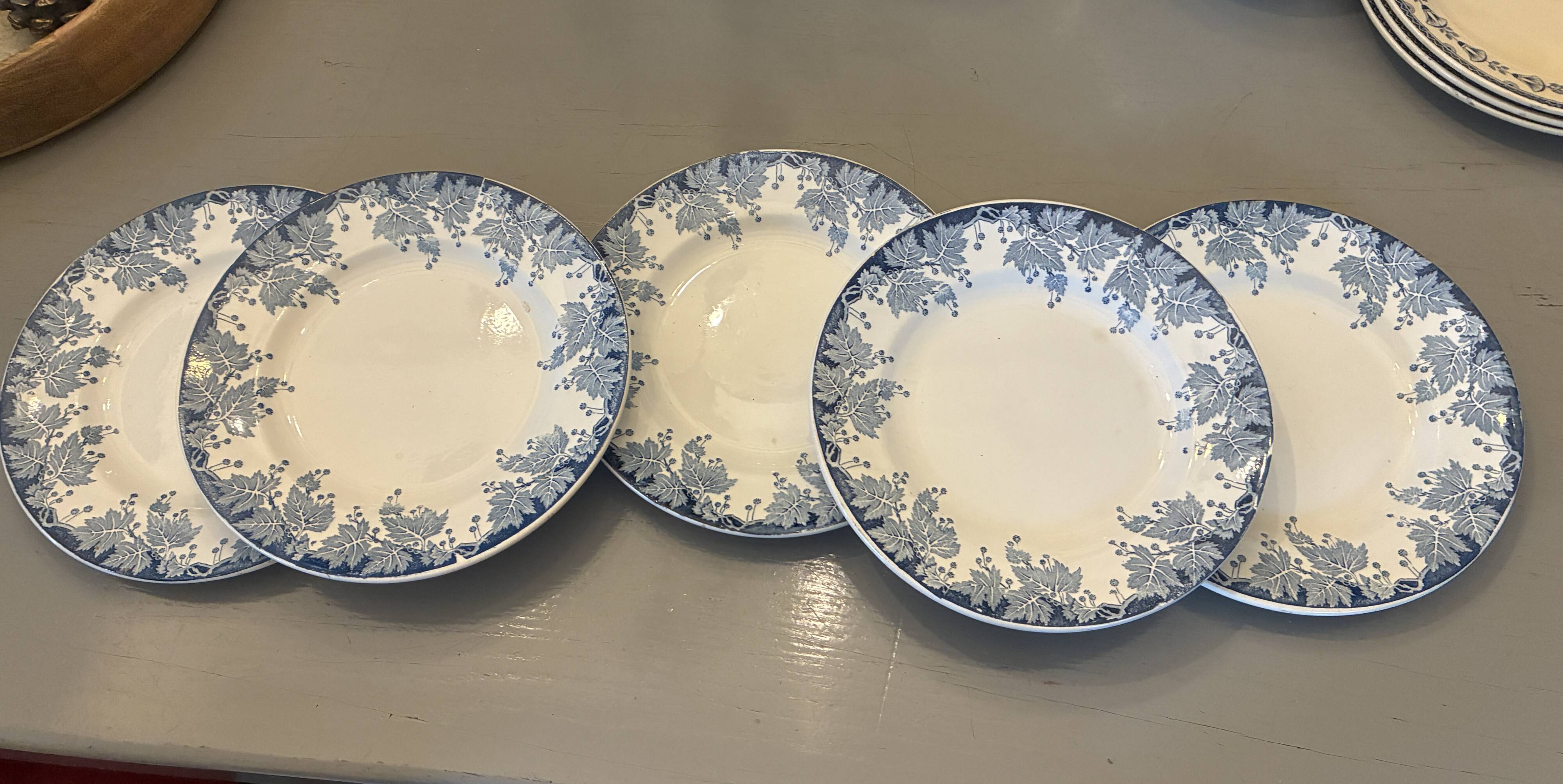 Set of 5 flat plates Saint Amand Terre de Fer