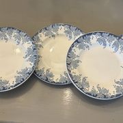 Lot de 5 assiettes plates Saint Amand Terre de Fer