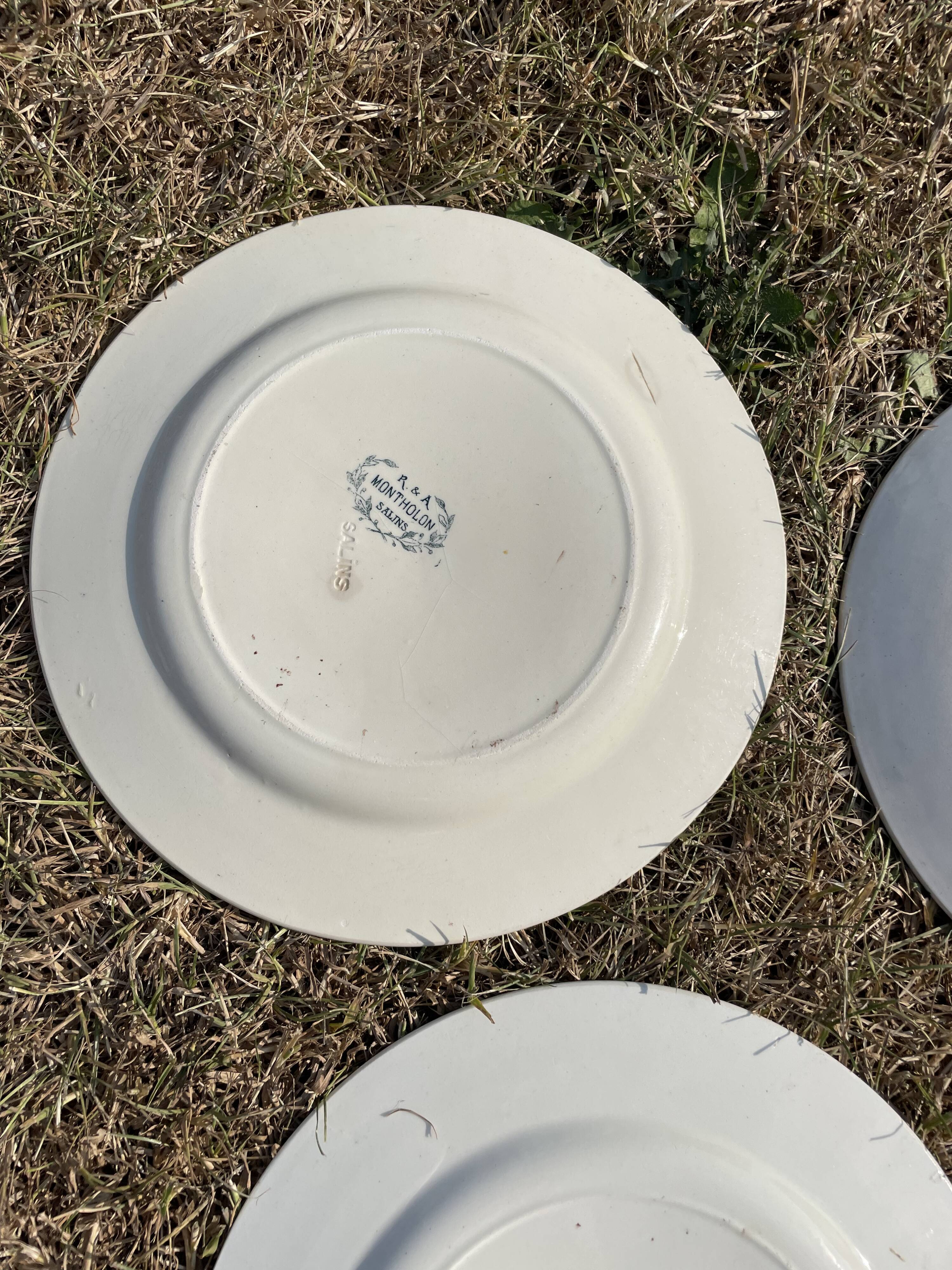 Set of 8 mismatched iron earth flat plates