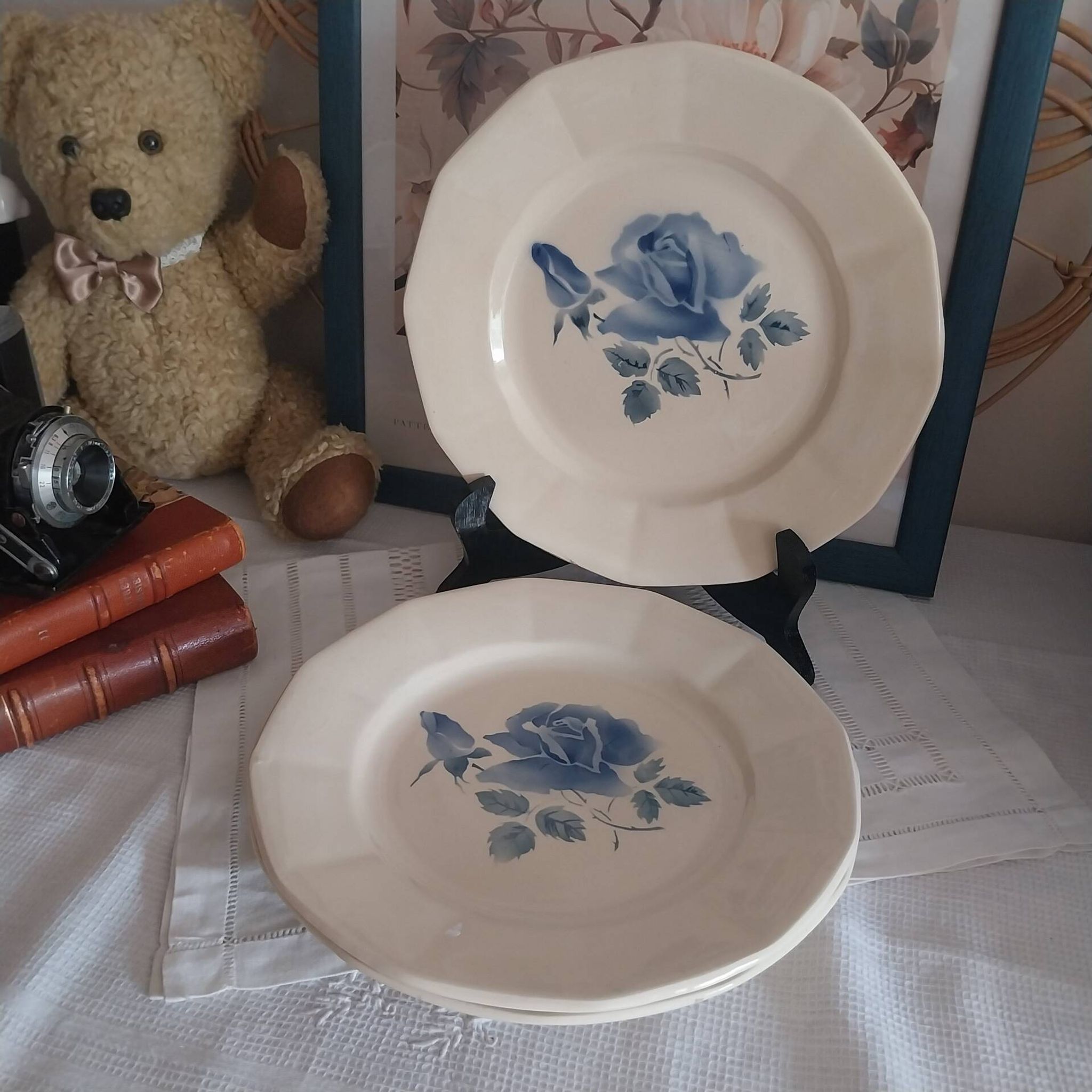 Old flat plates Digoin Sarreguemines