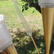 Vintage floor lamp in gilded brass with 5 glass tulips from the 50s