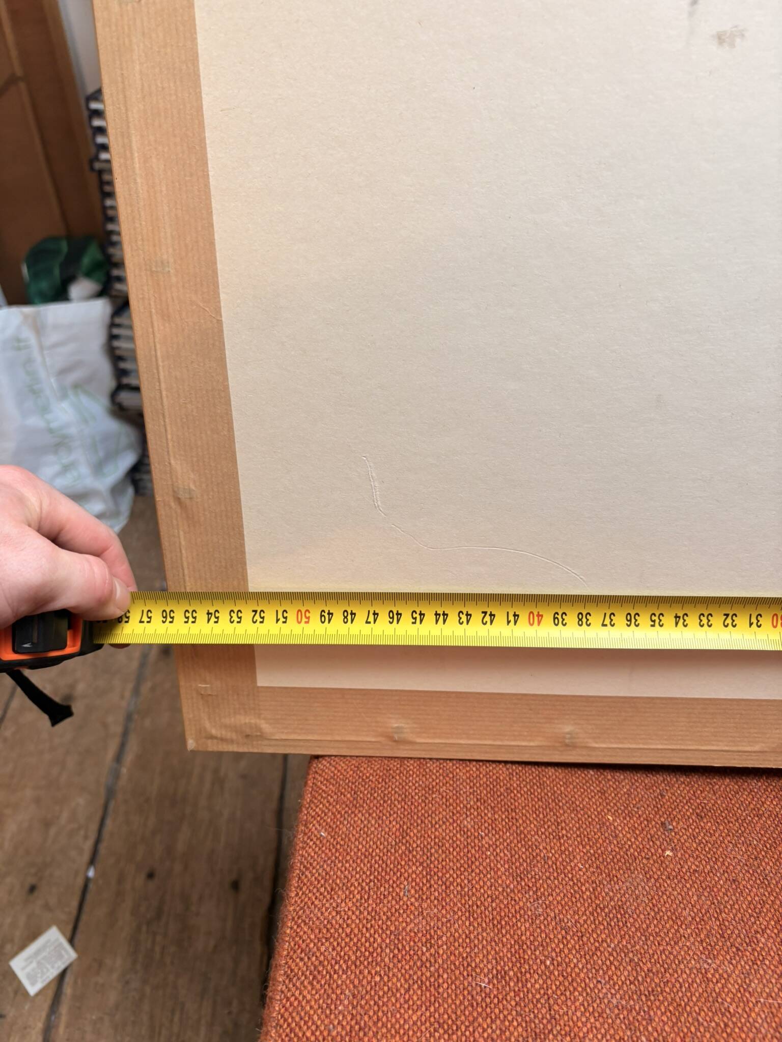 Old Print Engraving 19th Century Anatomy Nose Mouth Plate Head Morphology