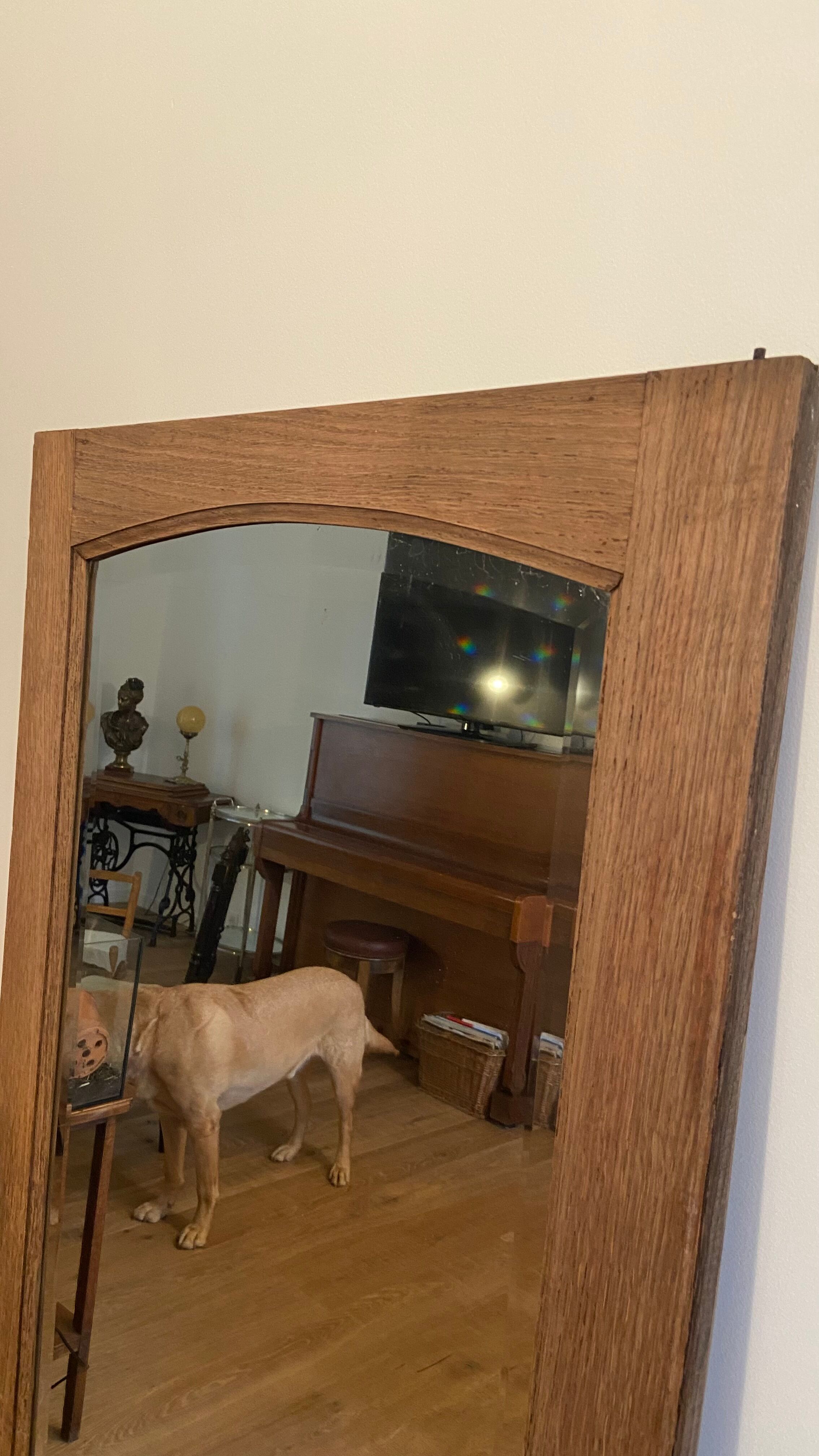 Beveled mirror 168 x 66 cm - 1950