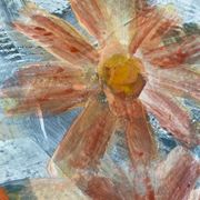 Still life flowers