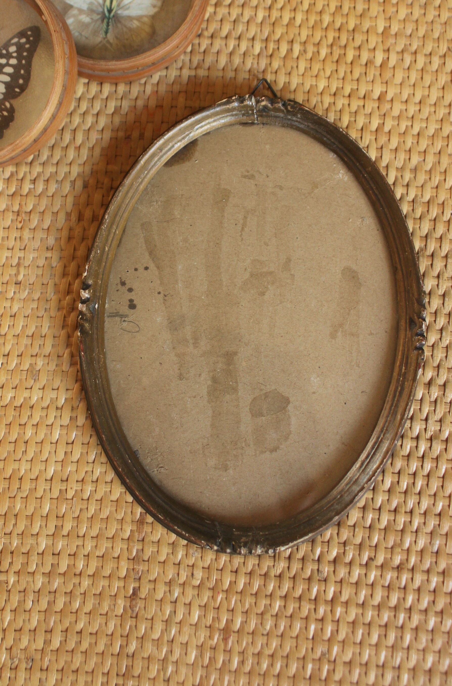 Oval box medallion gilding glass deco accumlulation