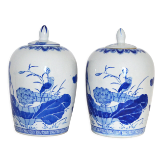 Paire de pots à gingembre