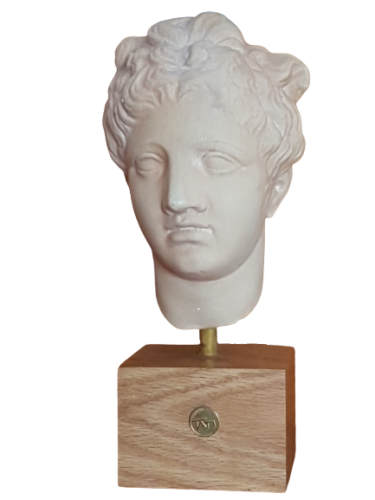 Head to the antique plaster