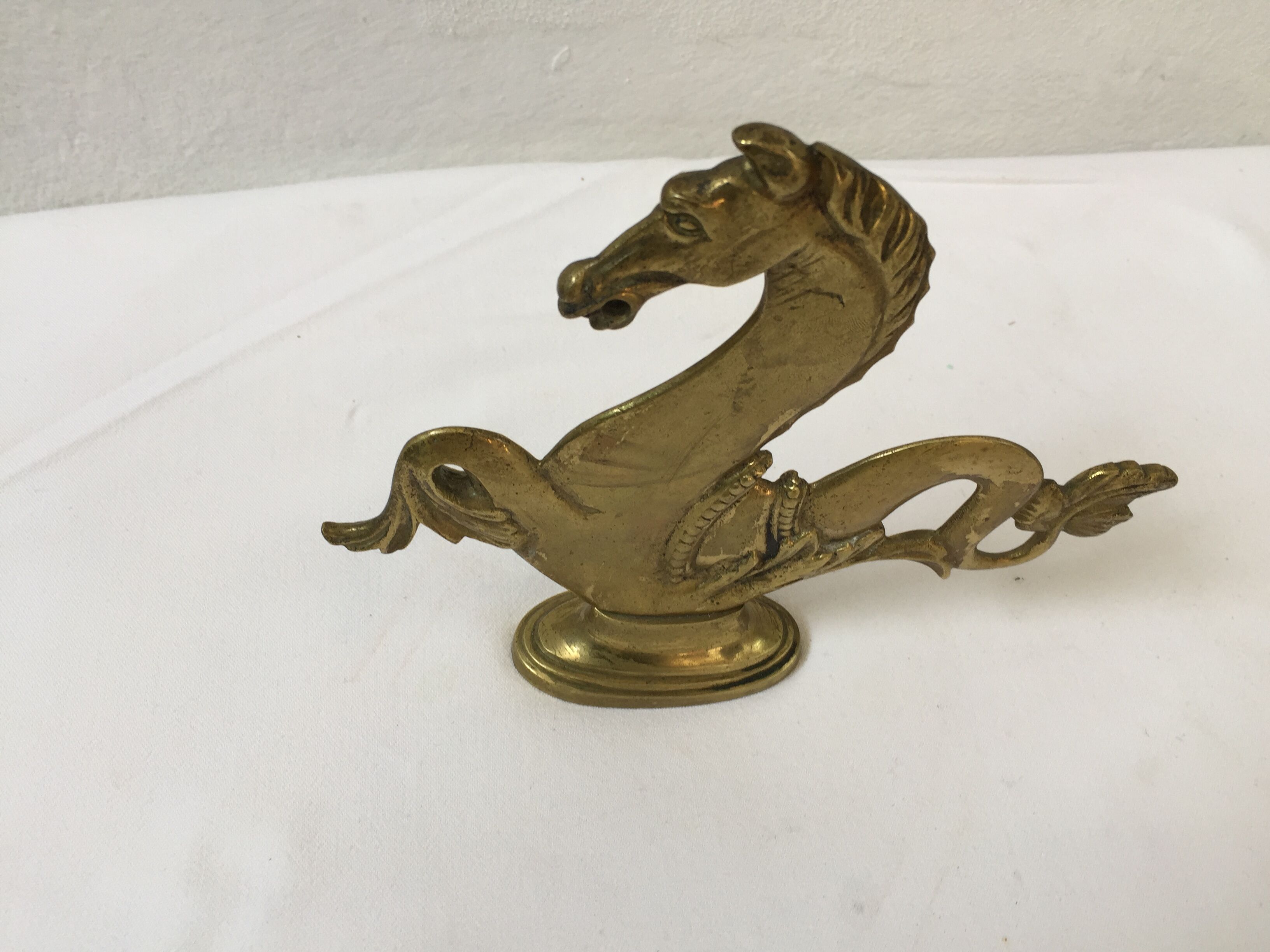 Hippocampus brass years 70