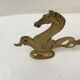 Hippocampus brass years 70