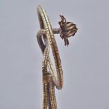 Présentoir à gâteaux antique en laiton, bambou et cuivre, acanthe, mouvement esthétique, Townshends, années 1880