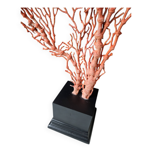 Gorgone Rouge XXL Socle en bois. H : 47 cm   Objet de Décoration l PlaceOdd