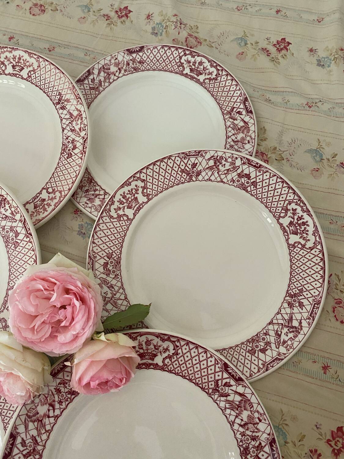 Set of 6 Mason's Ironstone Dinner Plates