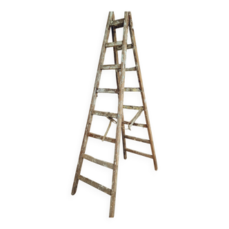 Antique ladder double ladder etagere