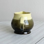 Two-tone milk jug