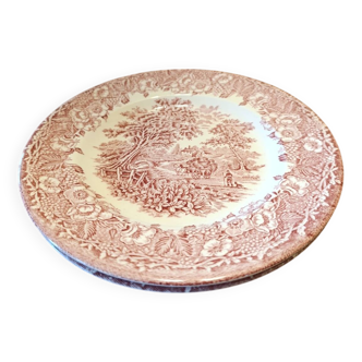 Set of 2 English ironstone plates