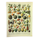 Botanical engraving 1897 A. Millot - Fruits 2, exotic, varieties
