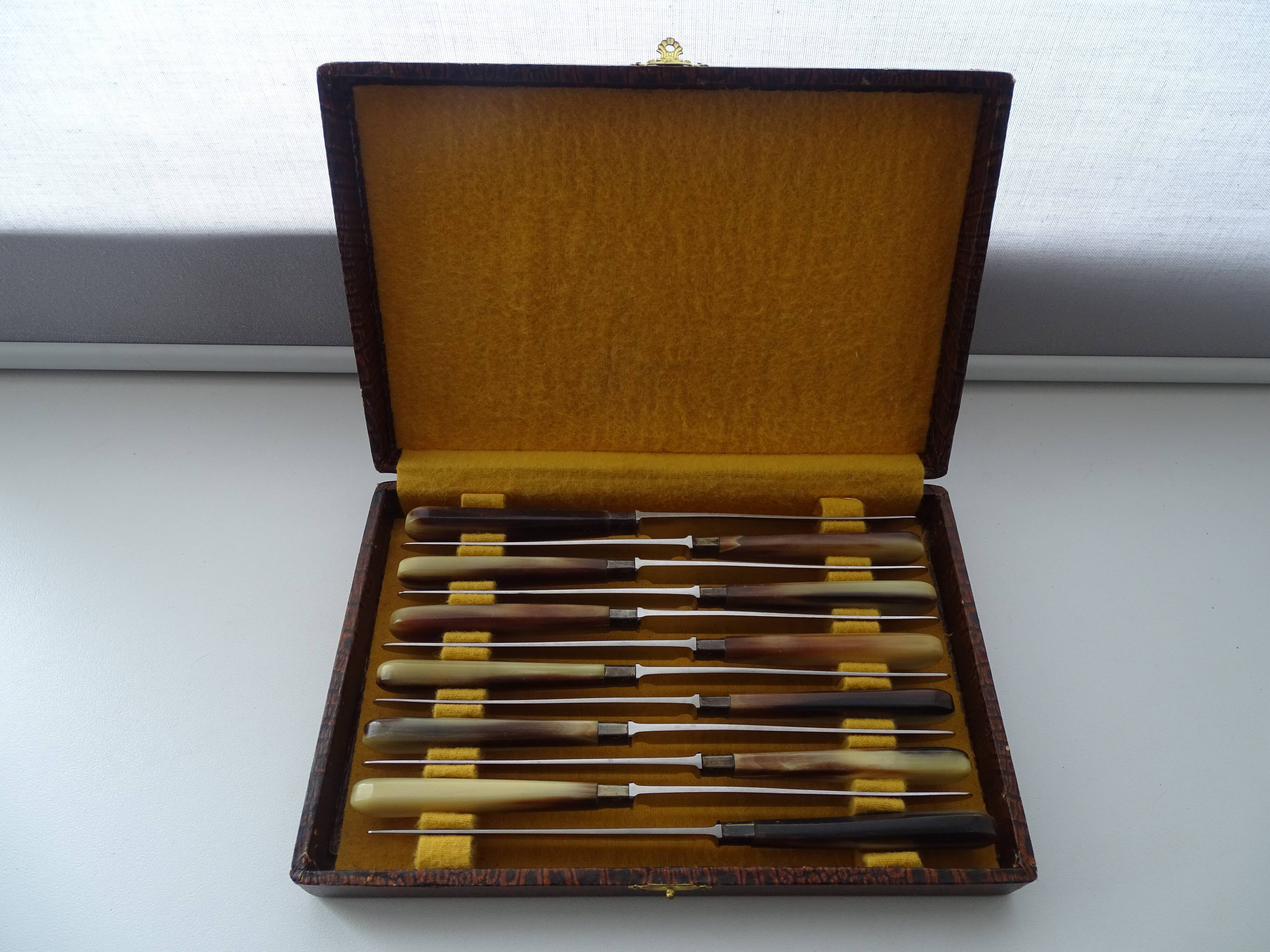 12 Art Deco cheese knives horn and stainless steel handles in case