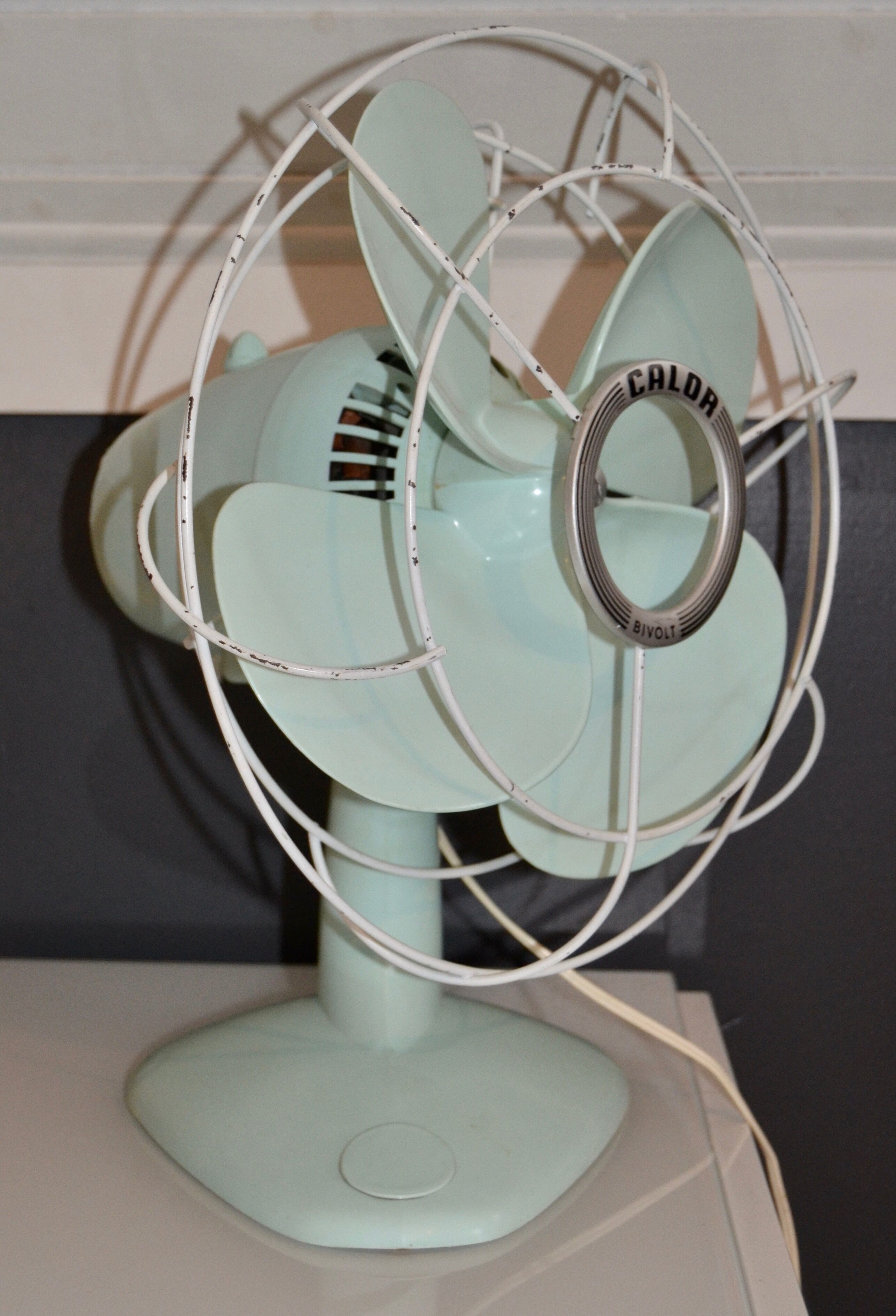 CALOR green mint (fan)