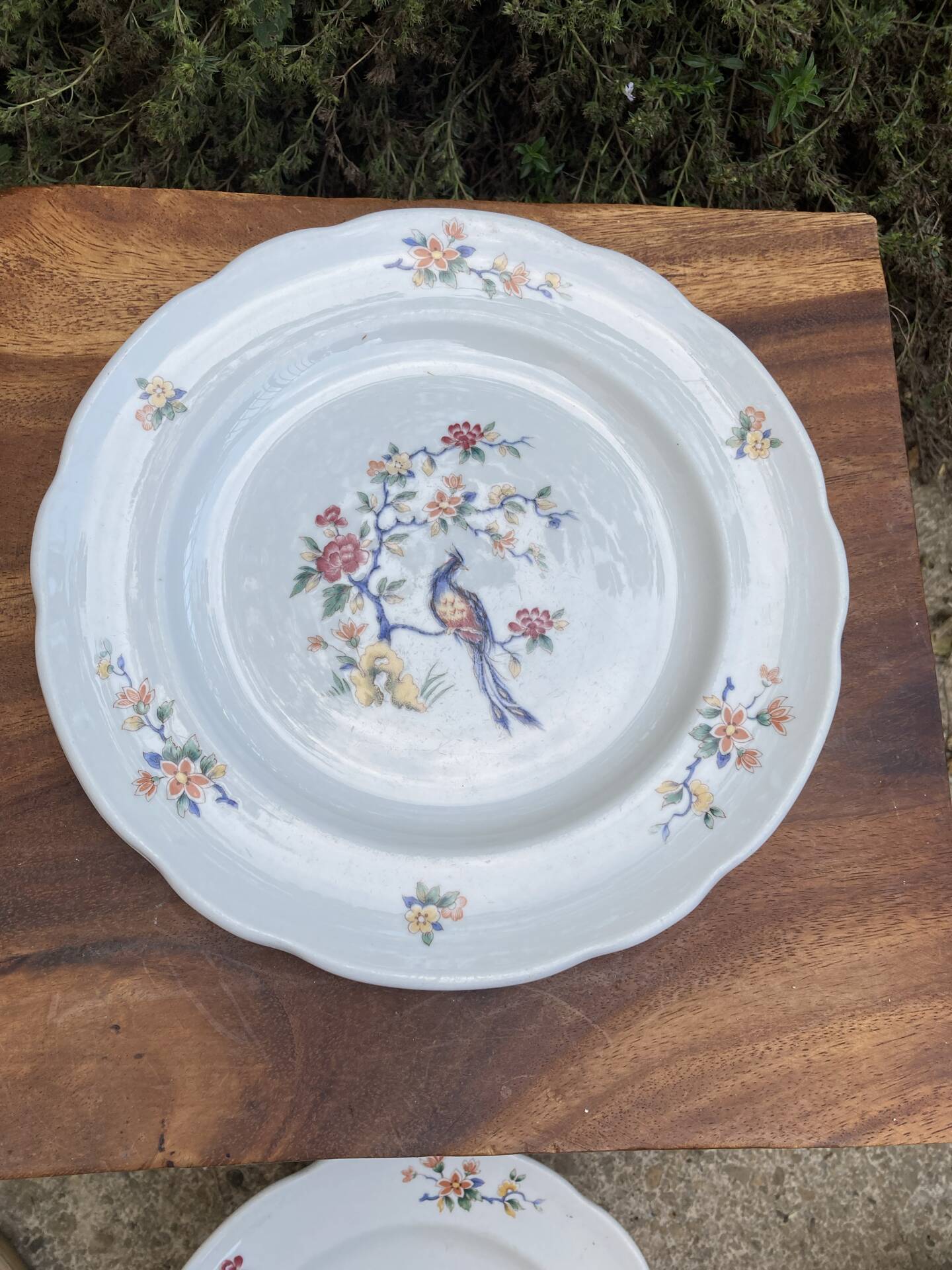 Sarreguemines plates paradise birds / Phoenix