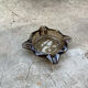 Empty ashtray vintage smoked glass pocket