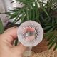 Crystal digestif glasses