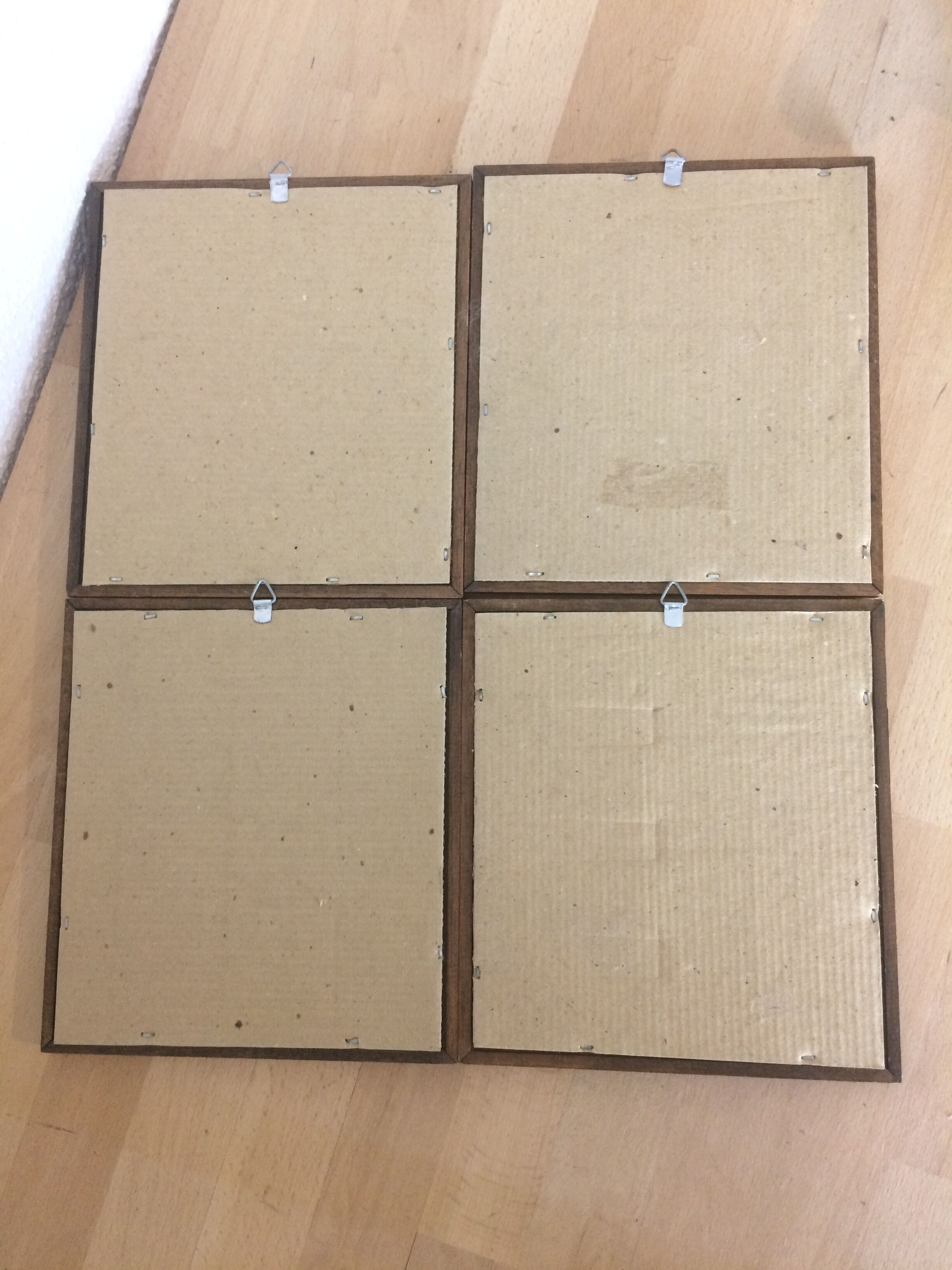 Bird illustrations under frame