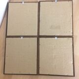 Bird illustrations under frame