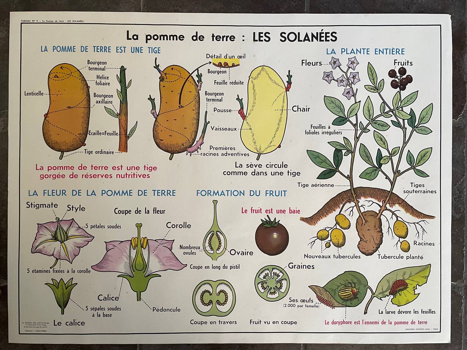 Ancienne affiche pédagogique scolaire, école