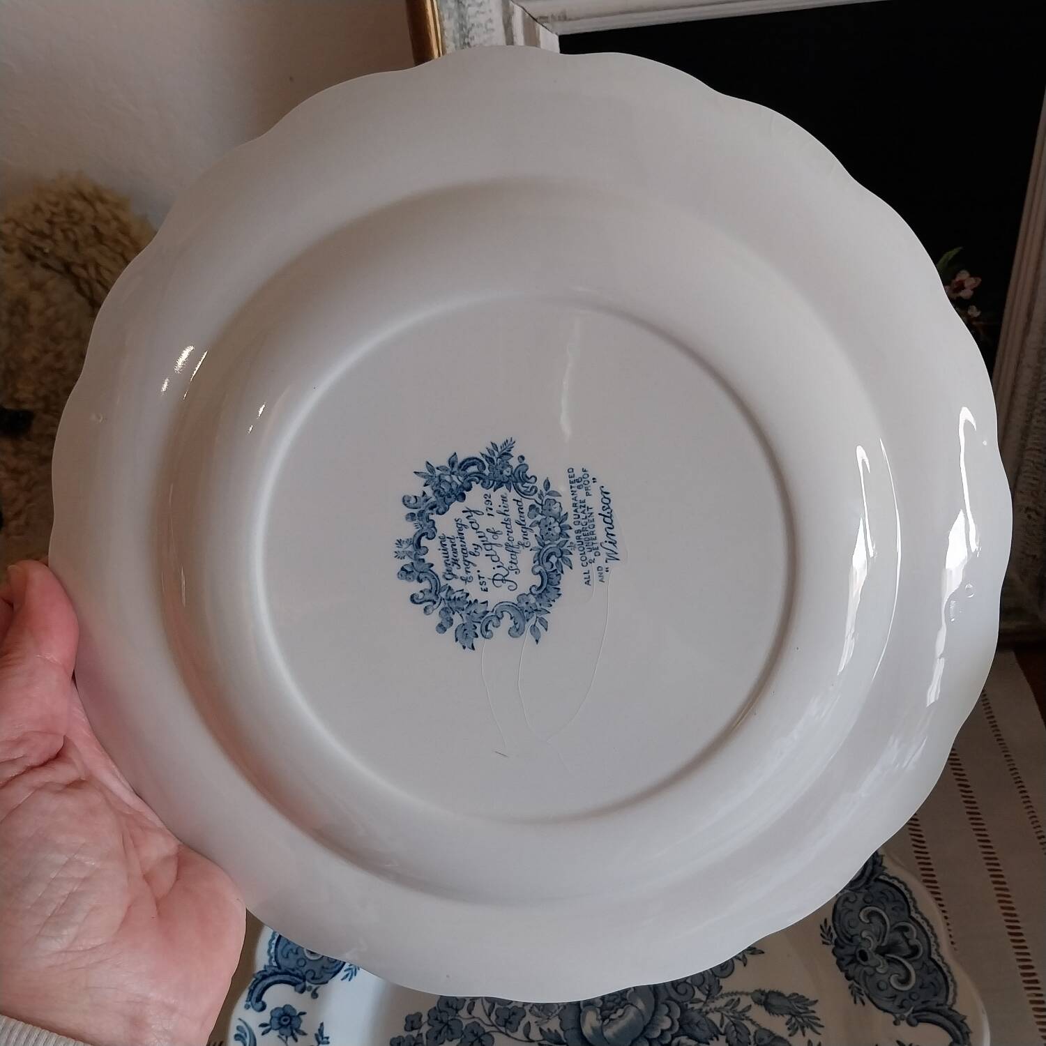 English dinner plates Ridgway of staffordshire Windsor