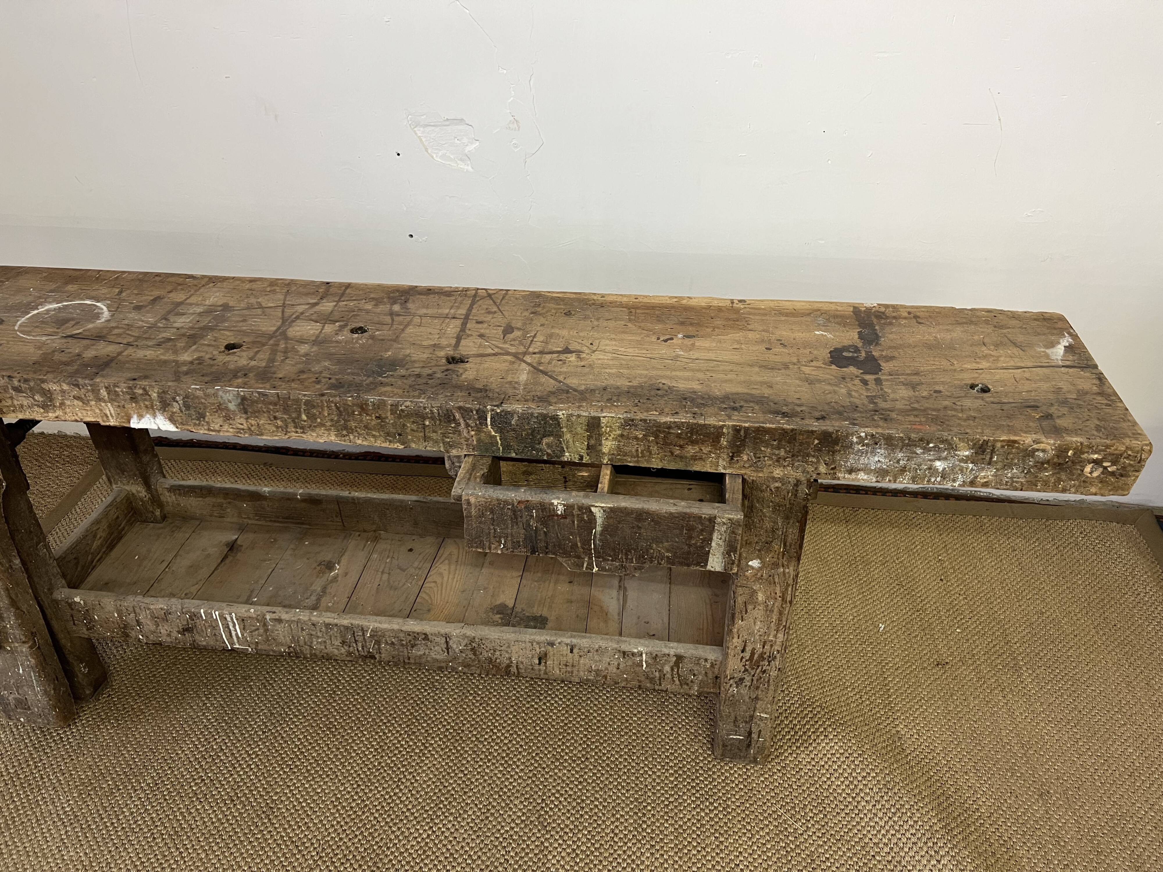Established in old wood