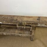 Established in old wood