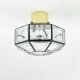 Pair Of Mid Century Glass Ceiling Lights Or Wall Lamps From Limburg, 1960s