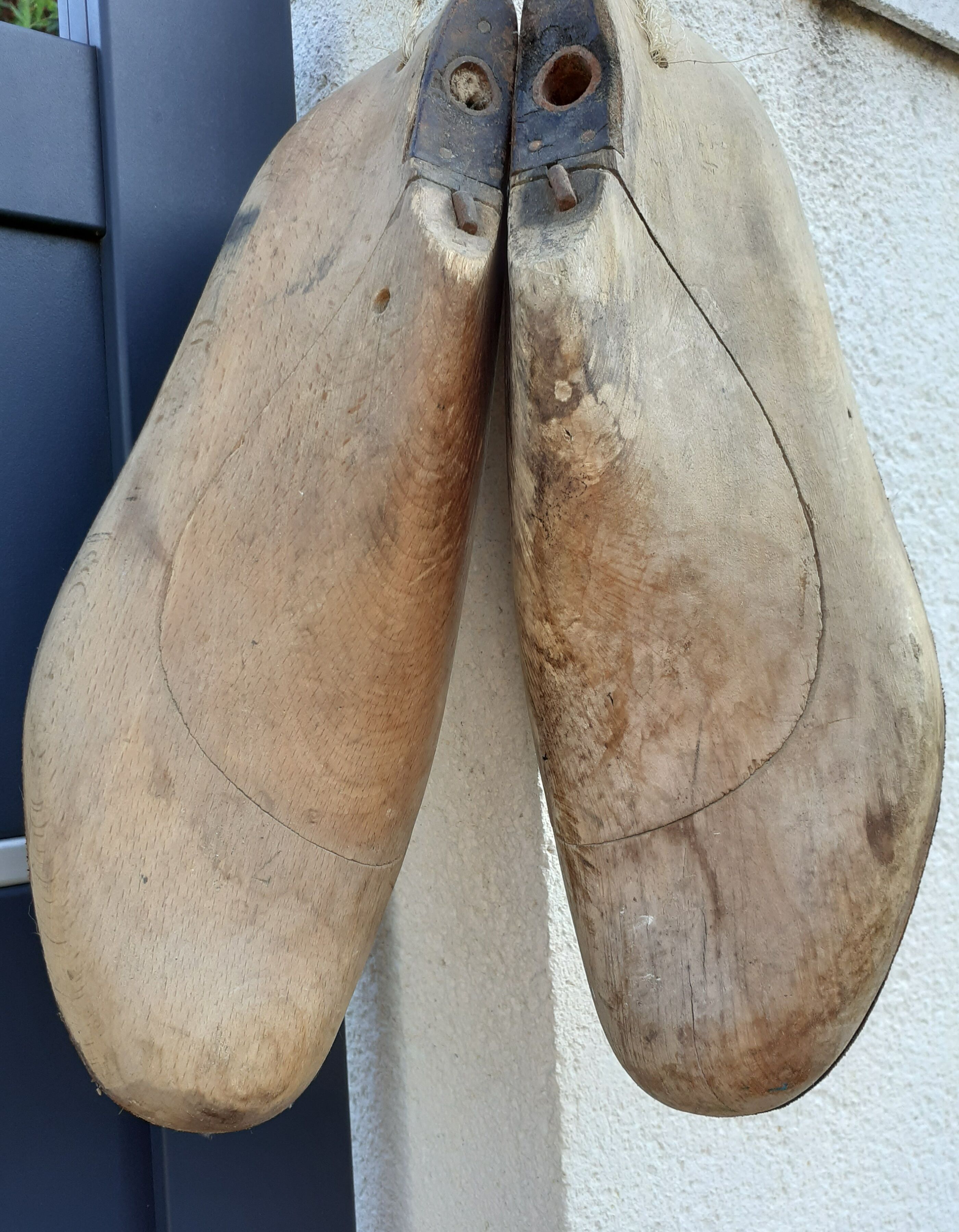 Shoe trees form with shoe