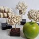 Set of four ancient white corals on pedestal, 15 cm