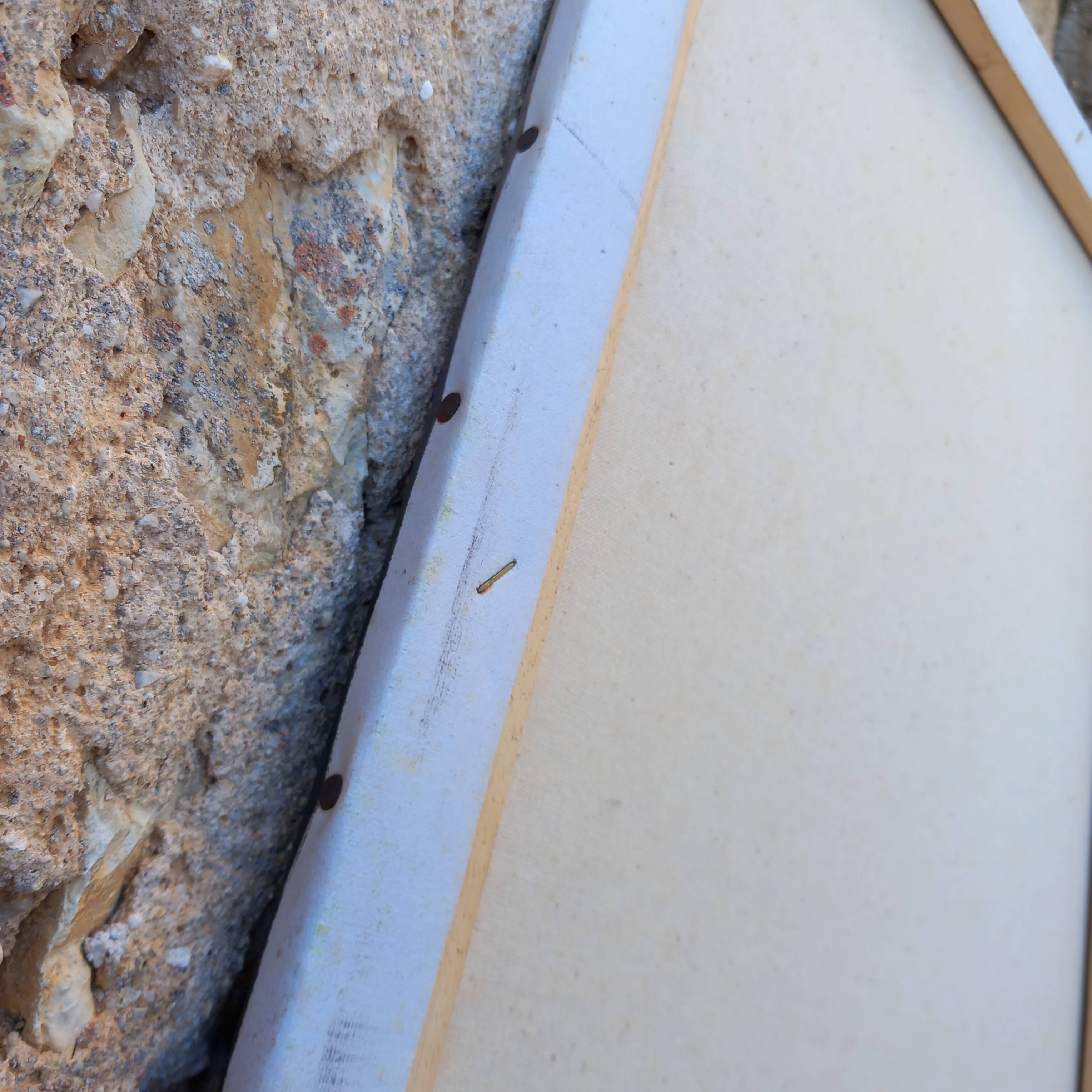 Still life - Floral composition - Oil on canvas signed